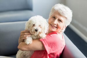 Elder Care in Rockford MI: Keeping Pets Safe During Thanksgiving